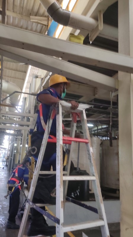 WhatsApp Image 2026-01-22 at 16.51.00 (1)