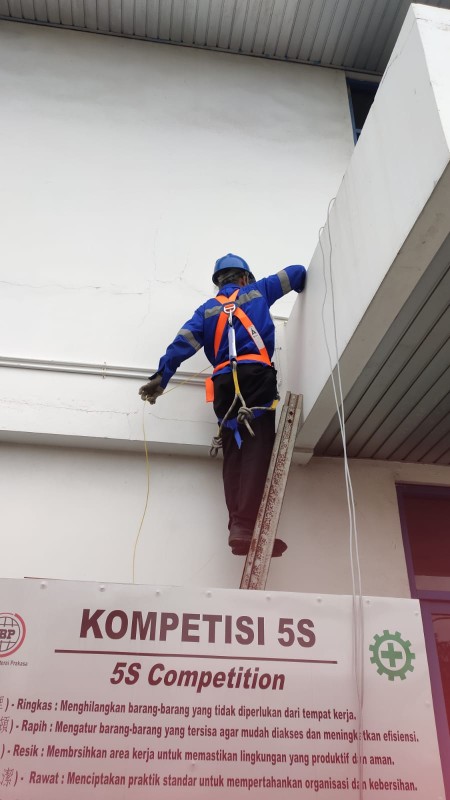 WhatsApp Image 2026-01-22 at 16.52.38