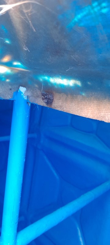 WhatsApp Image 2026-02-21 at 19.25.14 (1)