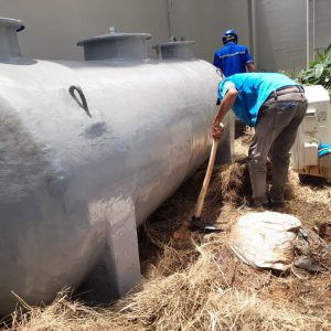 WhatsApp Image 2025-11-04 at 15.04.36 (1)