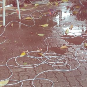 WhatsApp Image 2026-01-22 at 16.53.39 (1)