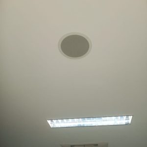 WhatsApp Image 2026-02-03 at 15.16.33