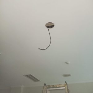 WhatsApp Image 2026-02-03 at 15.16.36