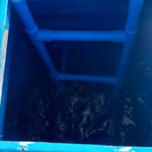 WhatsApp Image 2026-02-21 at 18.54.21