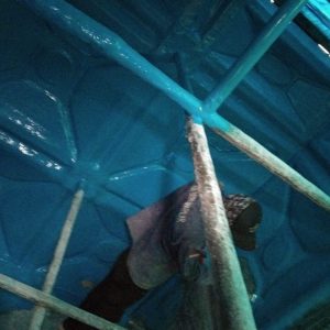 WhatsApp Image 2026-02-21 at 18.55.01