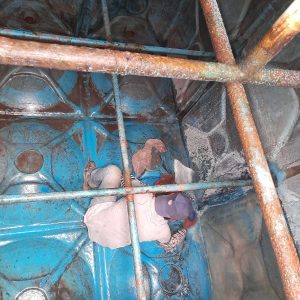 WhatsApp Image 2026-02-21 at 19.39.28