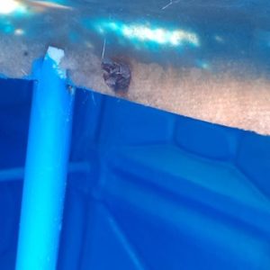 WhatsApp Image 2026-02-21 at 19.42.03 (1)