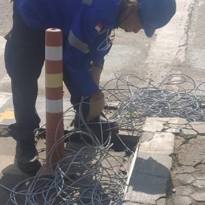 WhatsApp Image 2026-02-23 at 11.46.31