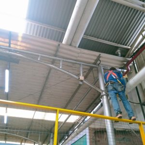 WhatsApp Image 2026-02-23 at 11.47.34 (2)